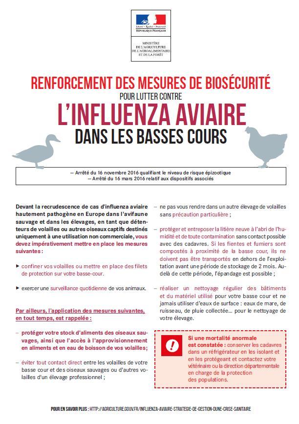 Grippe aviaire 1